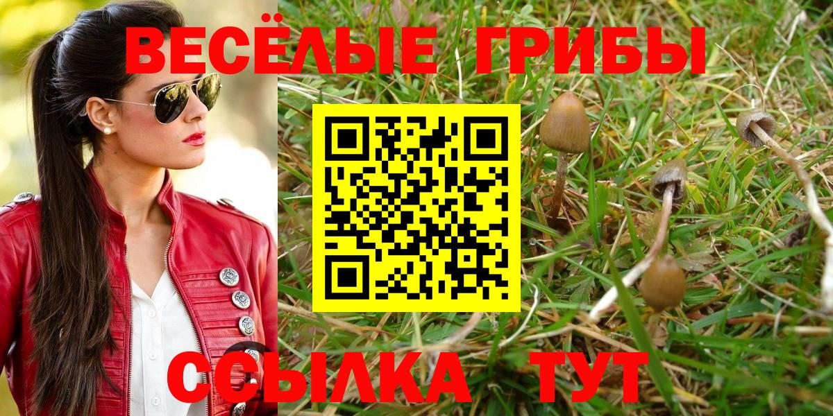 Галлюциногенные грибы Psilocybine cubensis Изобильный