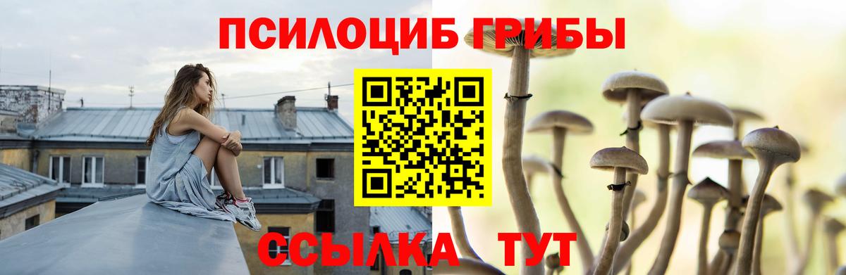 Галлюциногенные грибы ЛСД  Вход с VPN  Изобильный  Псилоцибиновые грибы GOLDEN TEACHER 